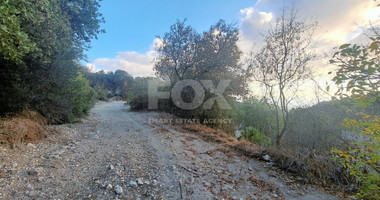 Residential land in Tsada