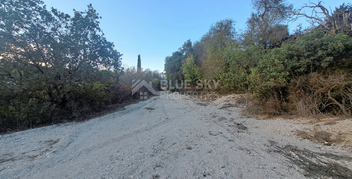 Residential land in Tsada