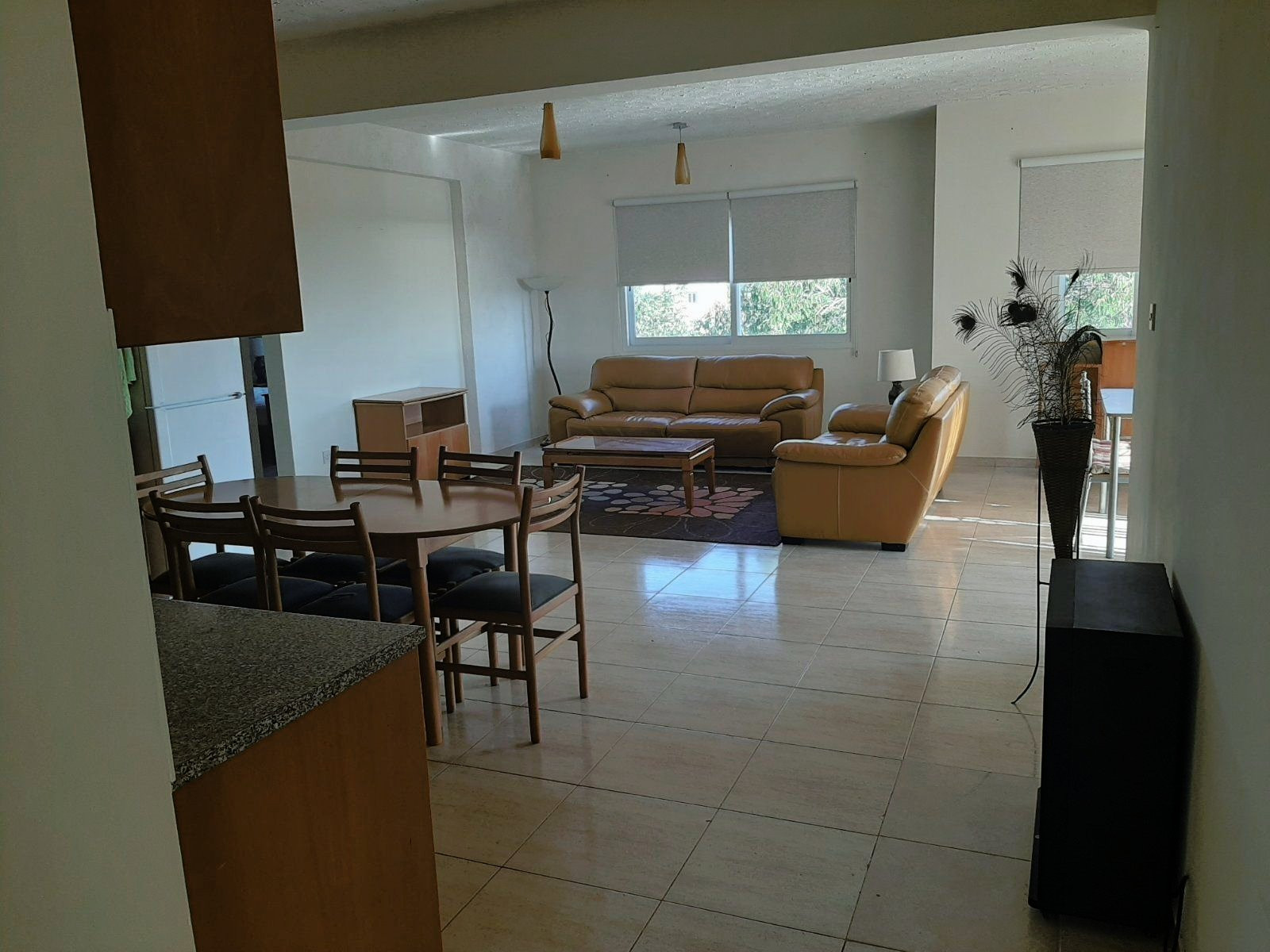 Apartamento 12 habitaciones 585 m² Mesogi, Chipre