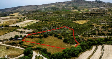 Agricultural land for sale in Agios Amvrosios, Limassol