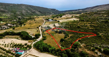 Agricultural land for sale in Agios Amvrosios, Limassol