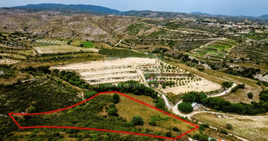 Agricultural land for sale in Agios Amvrosios, Limassol