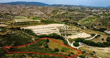 Agricultural land for sale in Agios Amvrosios, Limassol