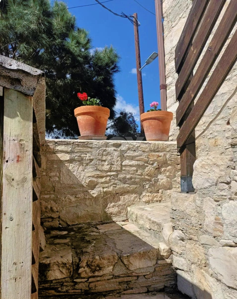 Pentakomo Village House for Sale – A Rare Heritage Property