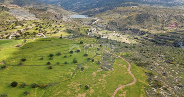 Agricultural five fields in Kissonerga , Paphos