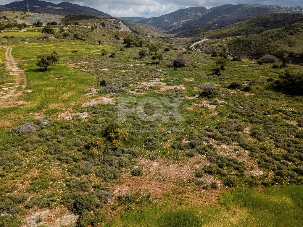 For sale :Field in Kissonerga , Paphos
