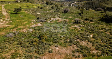 For sale :Field in Kissonerga , Paphos