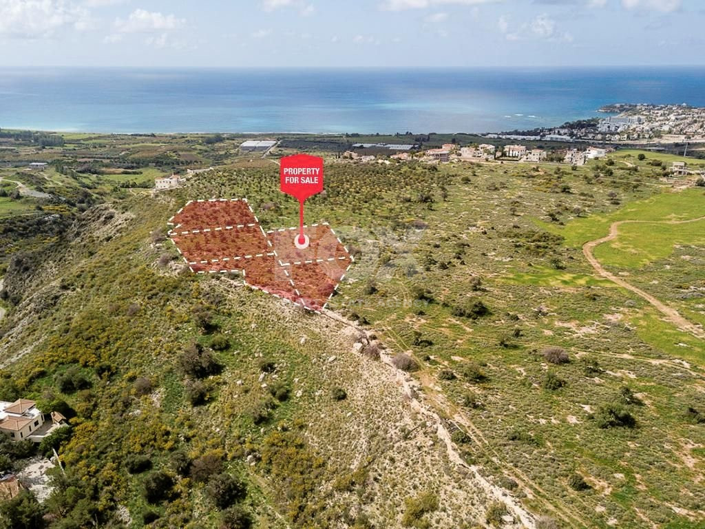 For sale :Field in Kissonerga , Paphos