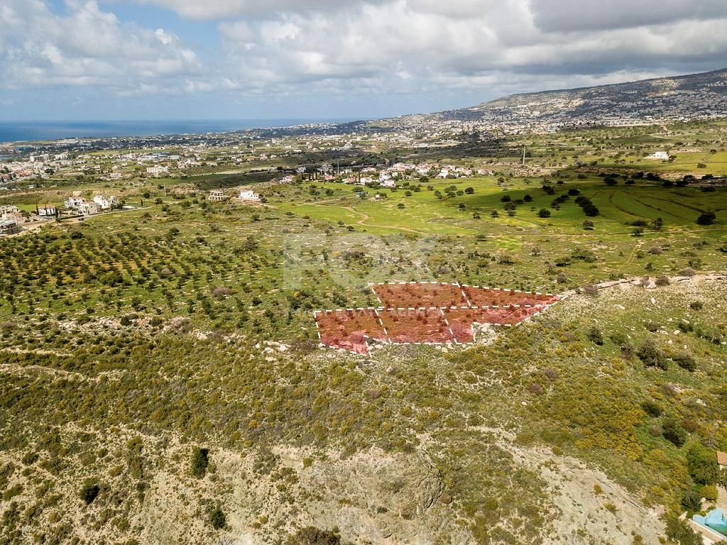 For sale :Field in Kissonerga , Paphos