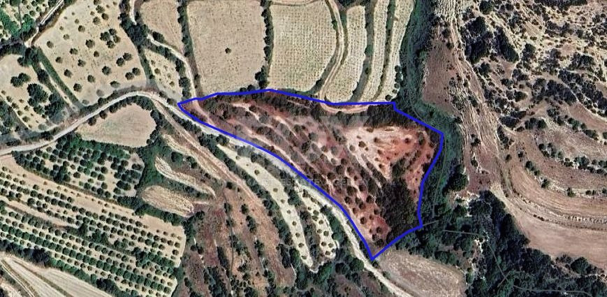 Agricultural Land in kallepia , paphos