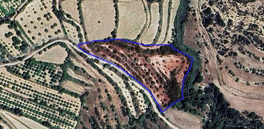 Agricultural Land in kallepia , paphos