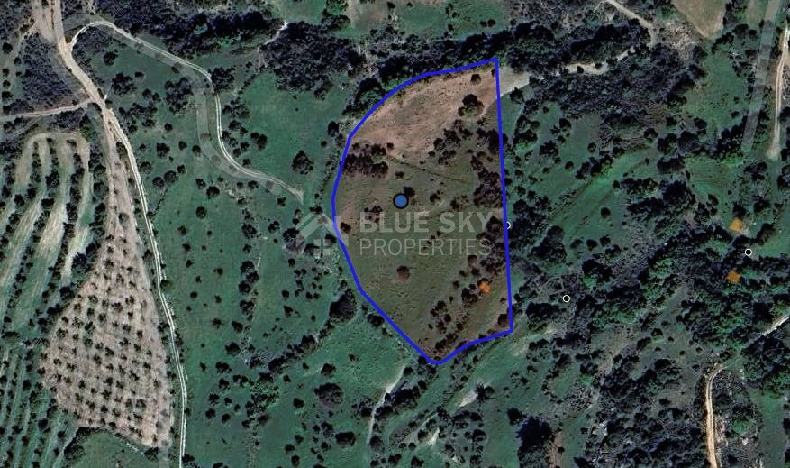 Agricultural Land Lysos , Paphos