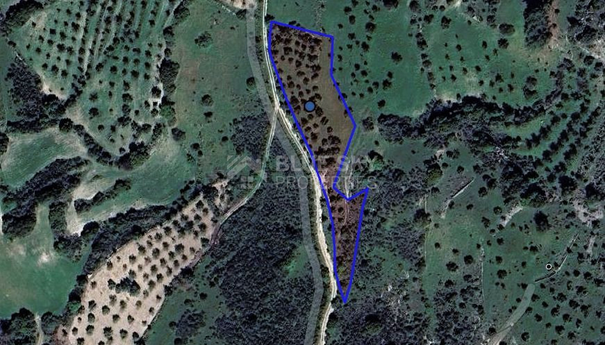 Agricultural Lands in Lysos , Paphos