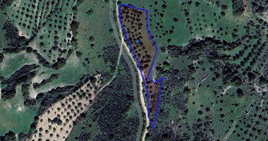 Agricultural Lands in Lysos , Paphos