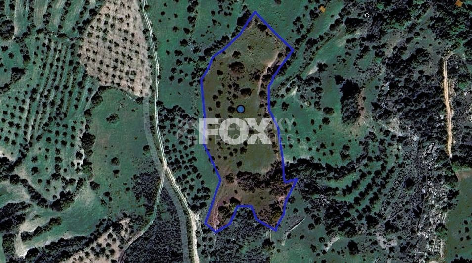 Agricultural Lands in Lysos , Paphos