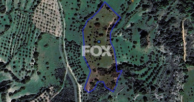 Agricultural Lands in Lysos , Paphos