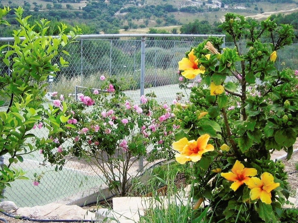 Four Bedroom Villa for rent