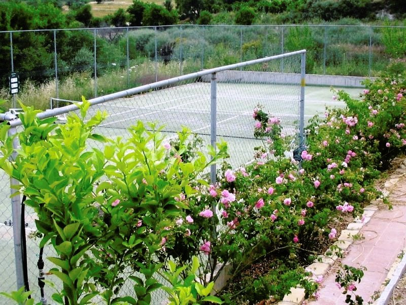 Four Bedroom Villa for rent