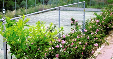 Four Bedroom Villa for rent