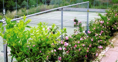 Four Bedroom Villa for rent