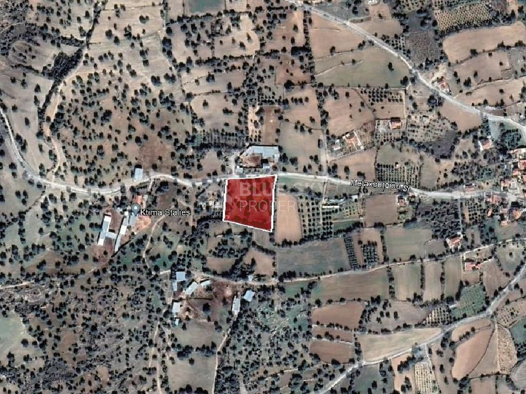 Land for sale in Anogyra village, Limassol