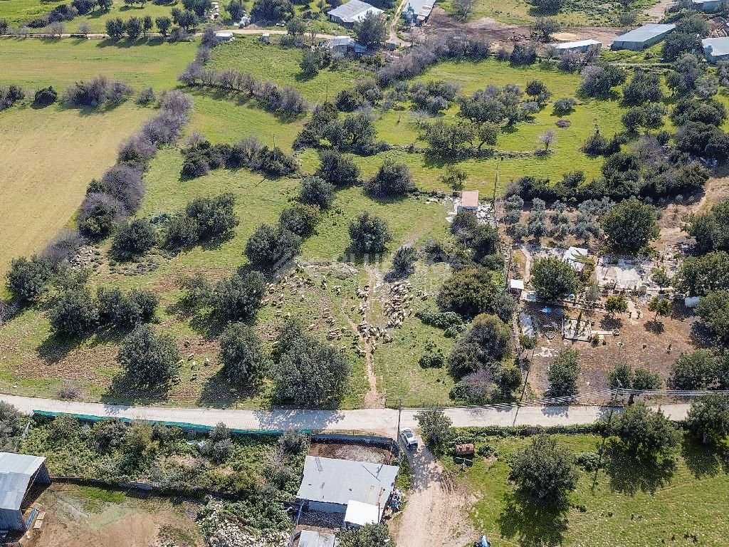Land for sale in Anogyra village, Limassol