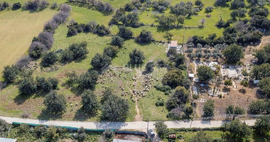 Land for sale in Anogyra village, Limassol