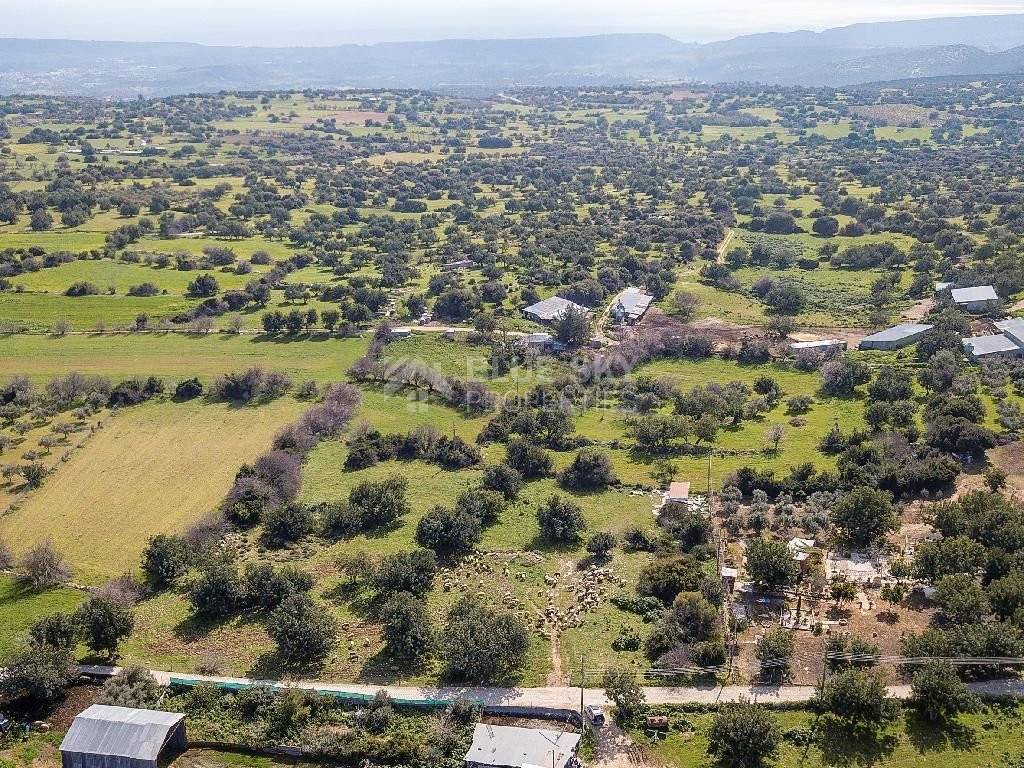 Land for sale in Anogyra village, Limassol