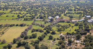 Land for sale in Anogyra village, Limassol