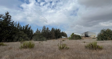 FIELD FOR SALE IN YPSONAS