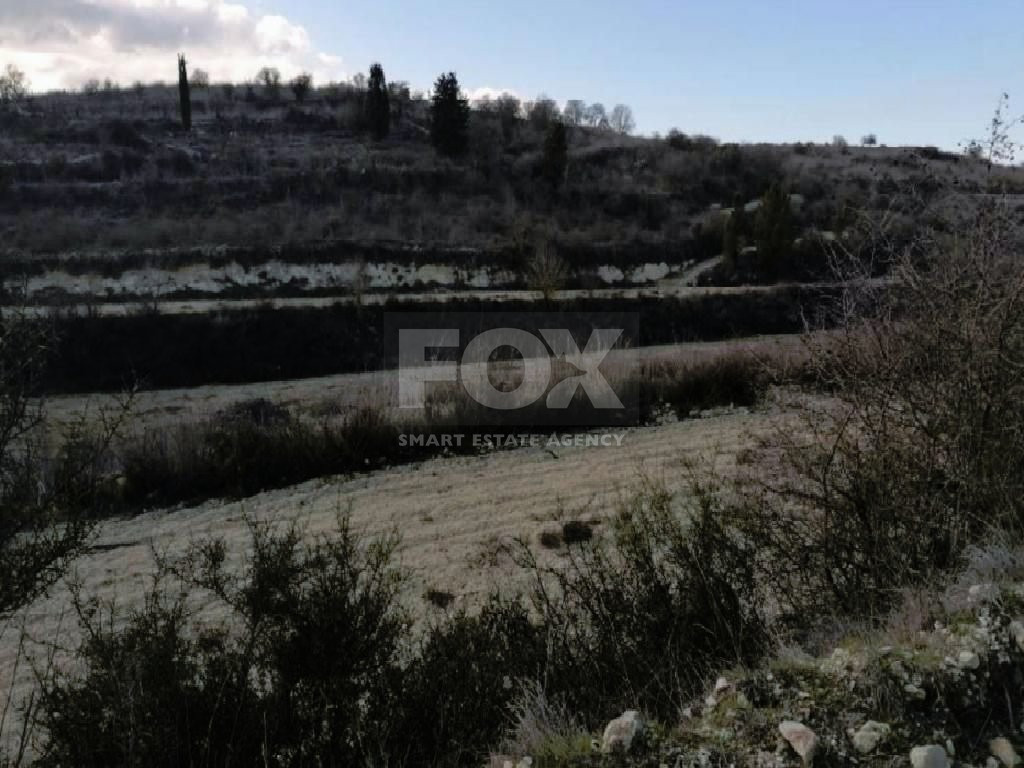 Field in Kathikas, Paphos