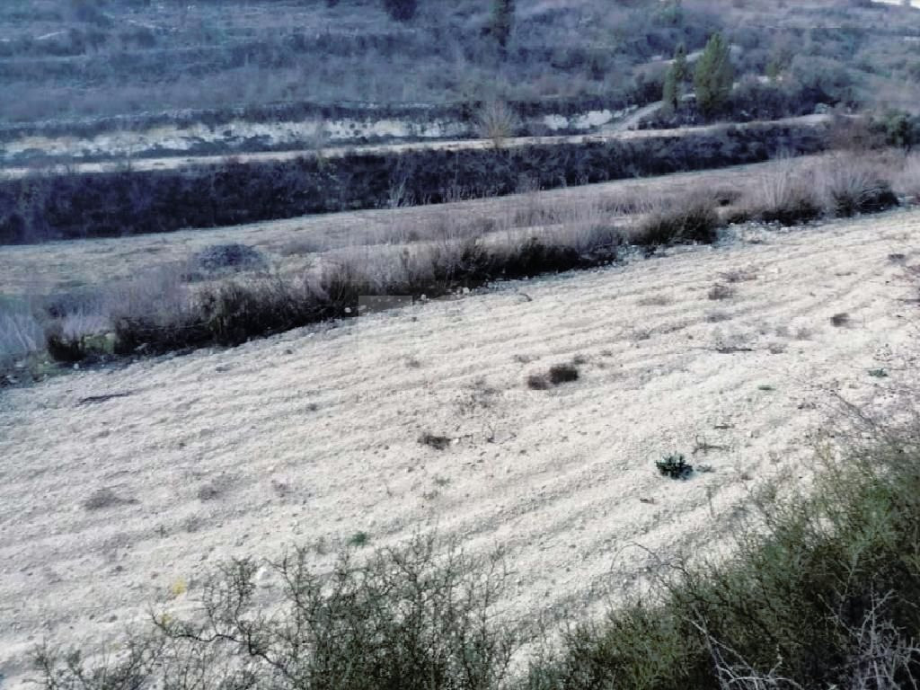 Field in Kathikas, Paphos