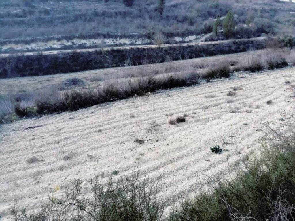 Field in Kathikas, Paphos