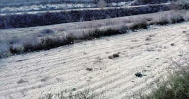 Field in Kathikas, Paphos