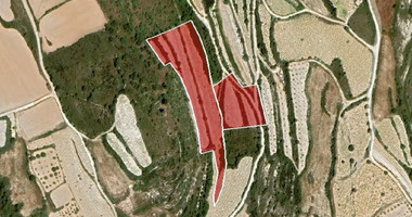 Field in Kathikas, Paphos