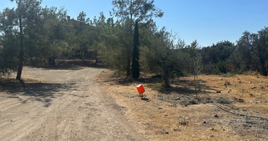 Exquisite  5 bedroom stone villa with 2 bedroom guest house  privately secluded and gated  on 13,118 sqm land in Moni.