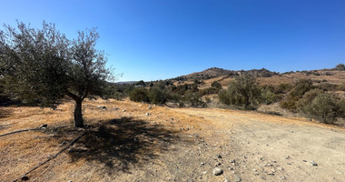 Exquisite  5 bedroom stone villa with 2 bedroom guest house  privately secluded and gated  on 13,118 sqm land in Moni.