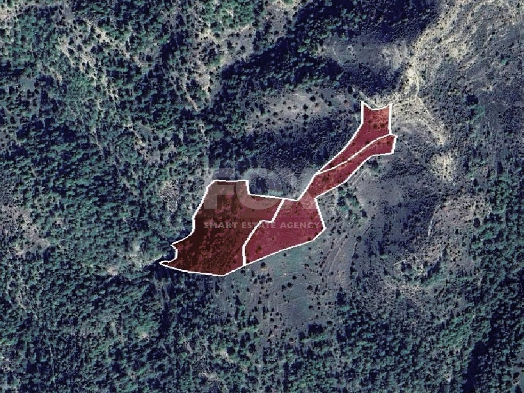 Agriculture land for sale in Dora village, Limassol