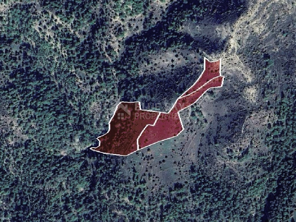 Agriculture land for sale in Dora village, Limassol