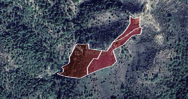 Agriculture land for sale in Dora village, Limassol