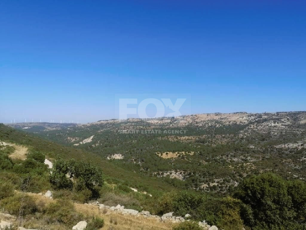 Agriculture land for sale in Dora village, Limassol