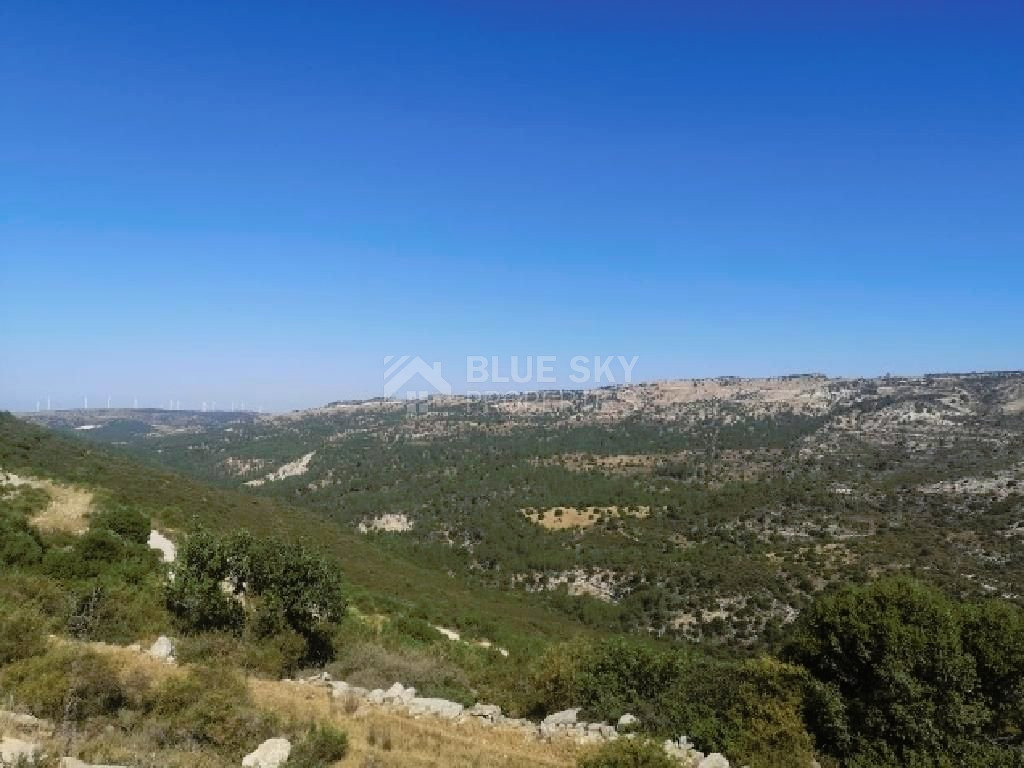 Agriculture land for sale in Dora village, Limassol