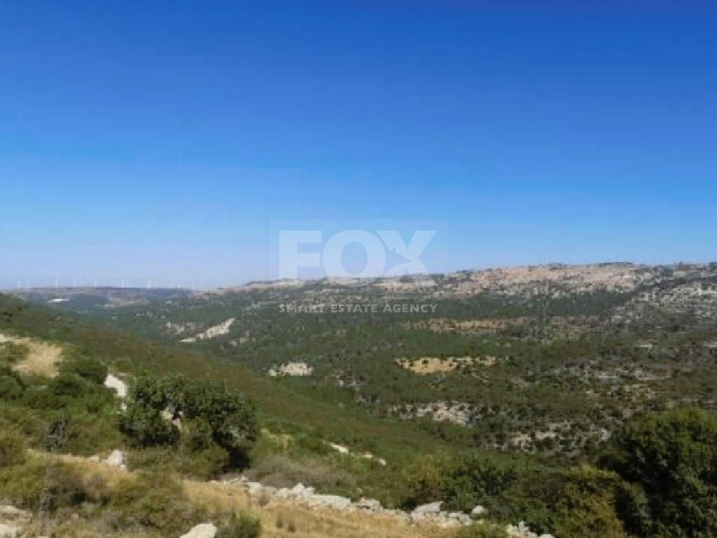 AGRICULTURE LAND FOR SALE IN DORA VILLAGE, LIMASSOL