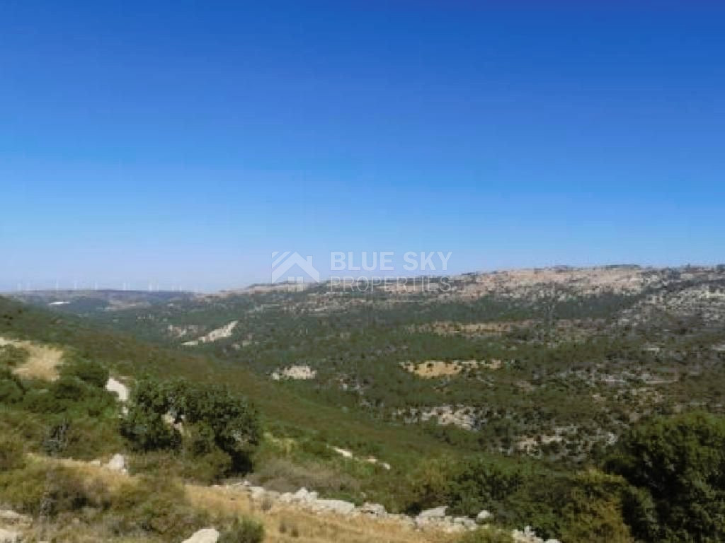 AGRICULTURE LAND FOR SALE IN DORA VILLAGE, LIMASSOL
