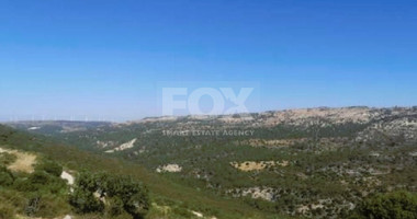 AGRICULTURE LAND FOR SALE IN DORA VILLAGE, LIMASSOL