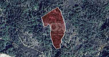 AGRICULTURE LAND FOR SALE IN DORA VILLAGE, LIMASSOL