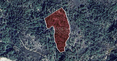 AGRICULTURE LAND FOR SALE IN DORA VILLAGE, LIMASSOL