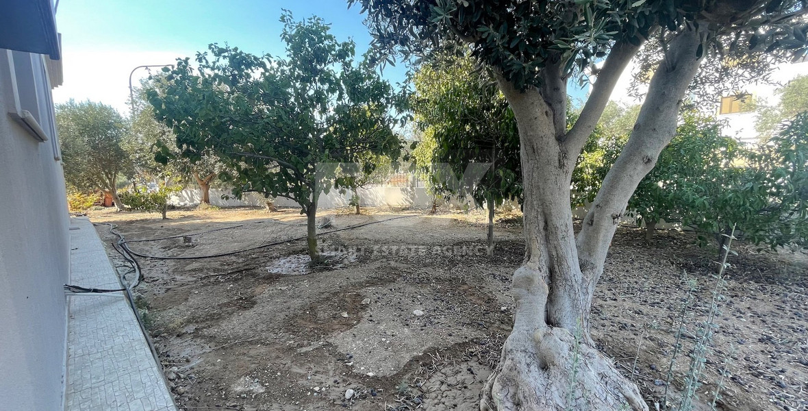 Four Bedroom Villa for rent -  Armou - Paphos
