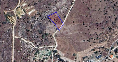 Agricultural land in Pentalia village, Paphos