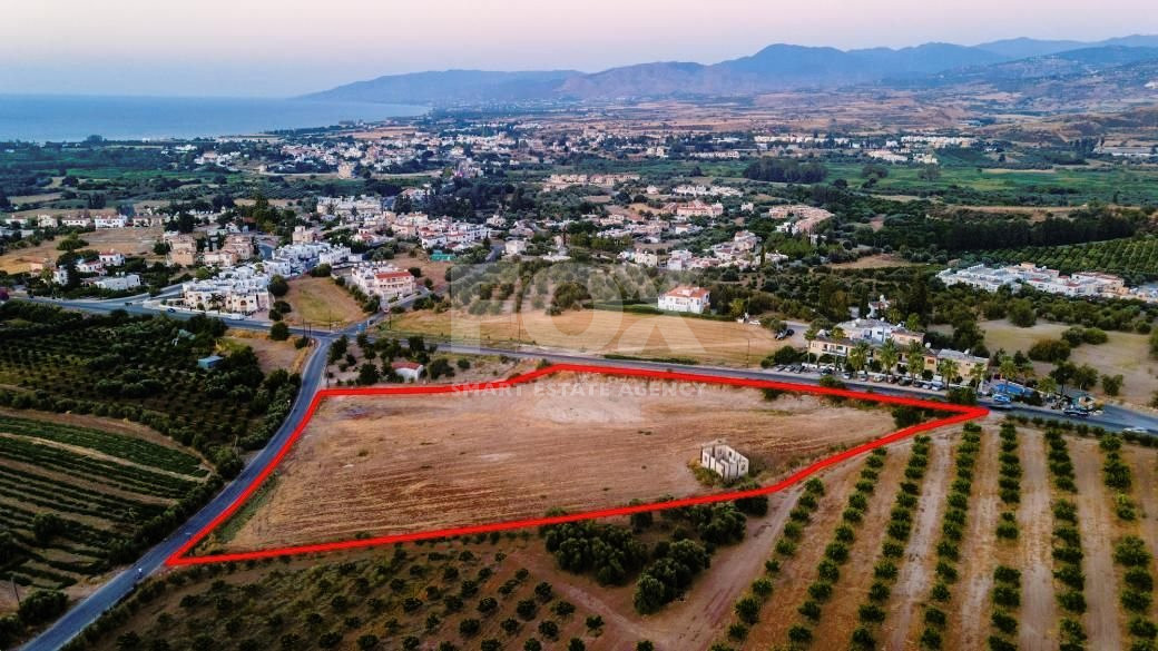 Residential field in Prodromi area, Polis Chrsochous